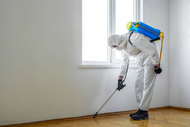 Best Organic or Eco-Friendly Pest Control  in Ensley, FL